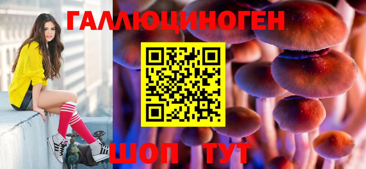 Галлюциногенные грибы Psilocybine cubensis Советская Гавань